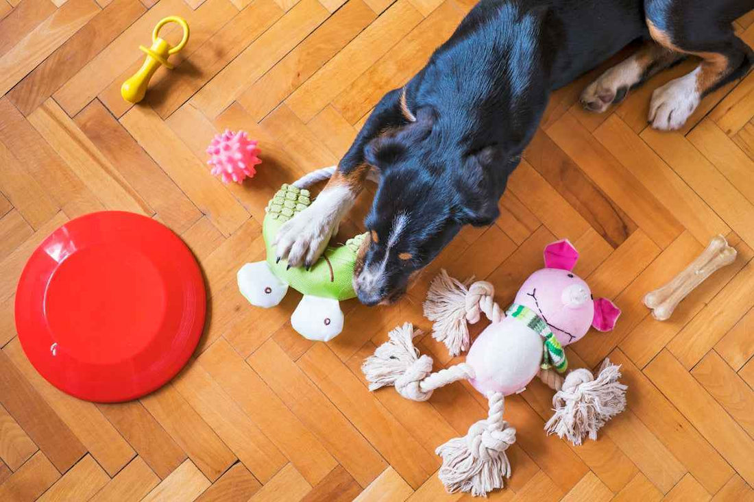 Interactive Dog Toys Benefits for Stress-Free Playtime and Enhanced Pet Wellness - Happy Tails - paws & love