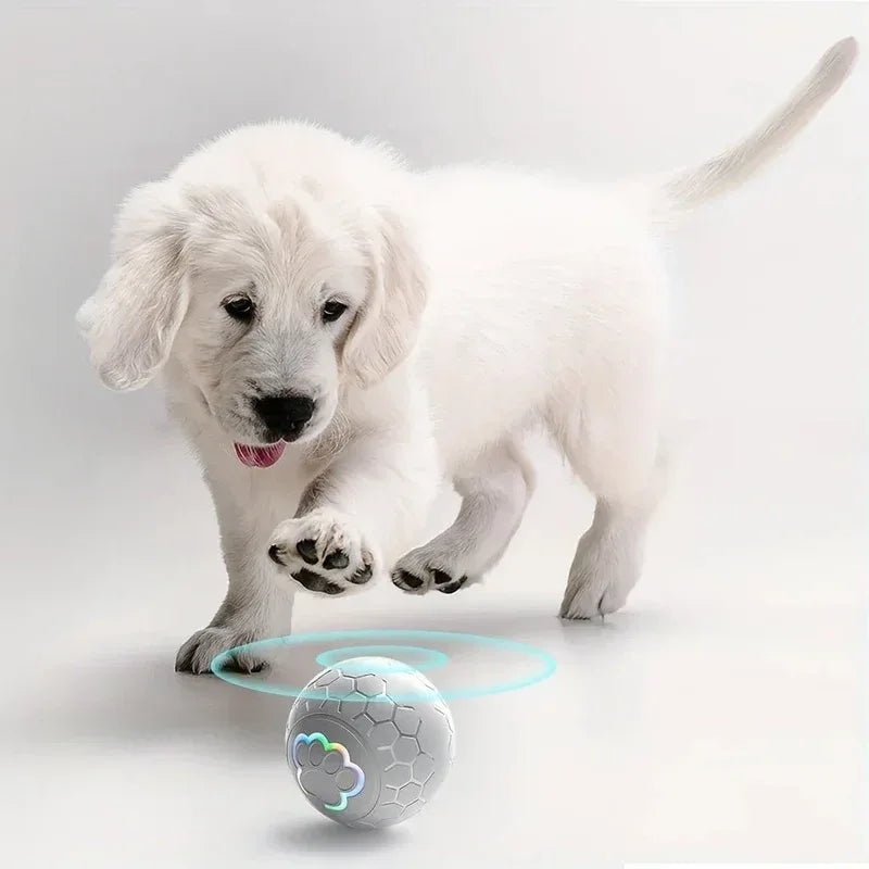 SmartPaws Interactive Dog Toy Ball - Happy Tails - paws & love