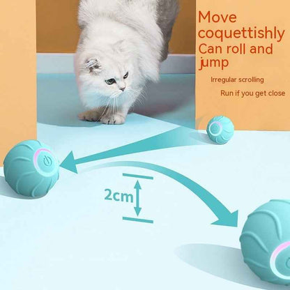 Smart Cat Toys Rolling Ball Pet Cat Owner Interactive Pets Toys