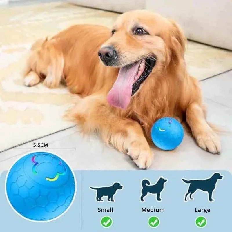 Electric Dog Interactive Ball - Happy Tails - paws & love