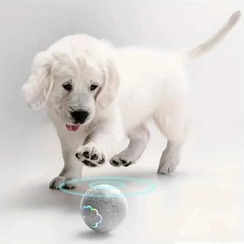 SmartPaws Interactive Dog Toy Ball - Happy Tails - paws & love