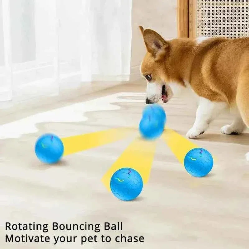 Electric Dog Interactive Ball - Happy Tails - paws & love