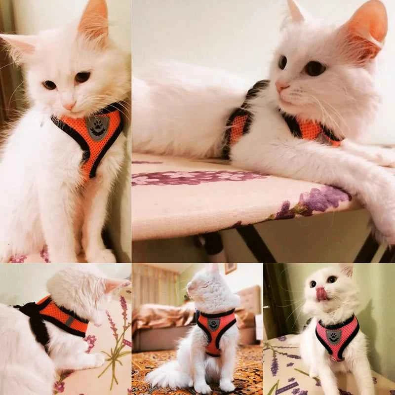 Cat Harness Leash Set for Small Dogs Adjustable Puppy Cat Harness Vest