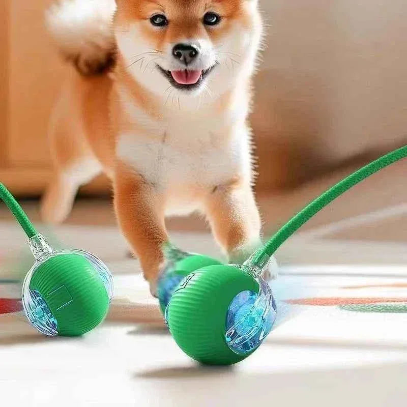 SmartPaw Interactive Dog Toy Ball - USB Rechargeable, Automatic Bouncing, Fun for Dogs & Cats - Perfect Birthday Gift! - Happy Tails - paws & love