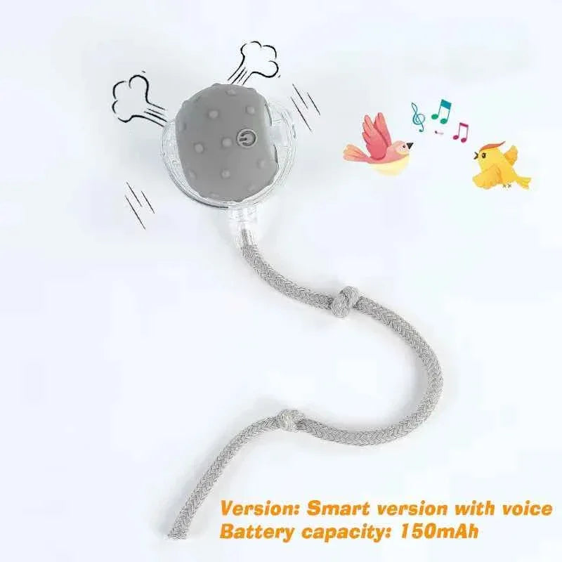 Cat Toy - Smart Rolling Ball for Active Kittens - Happy Tails - paws & love