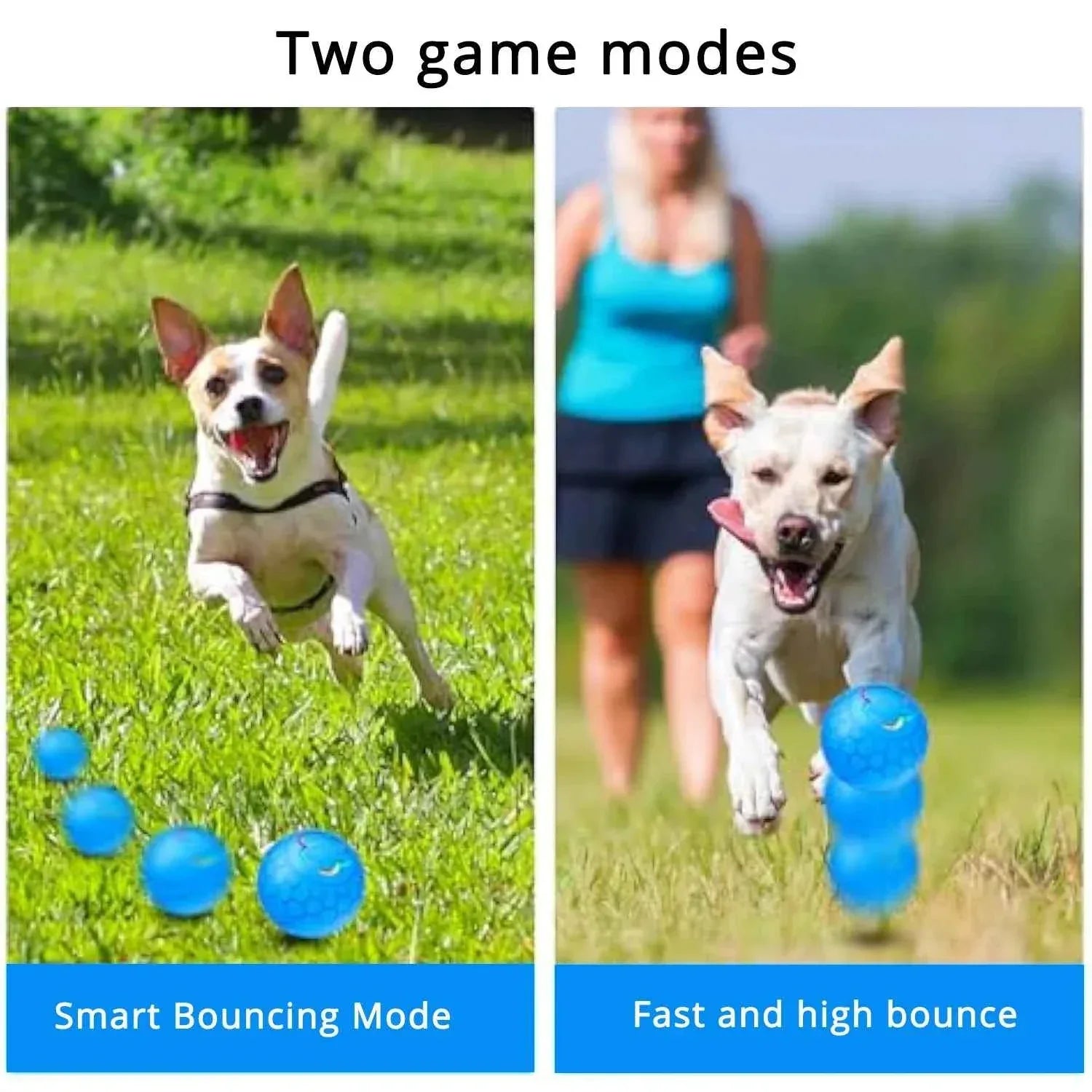 Electric Dog Interactive Ball - Happy Tails - paws & love