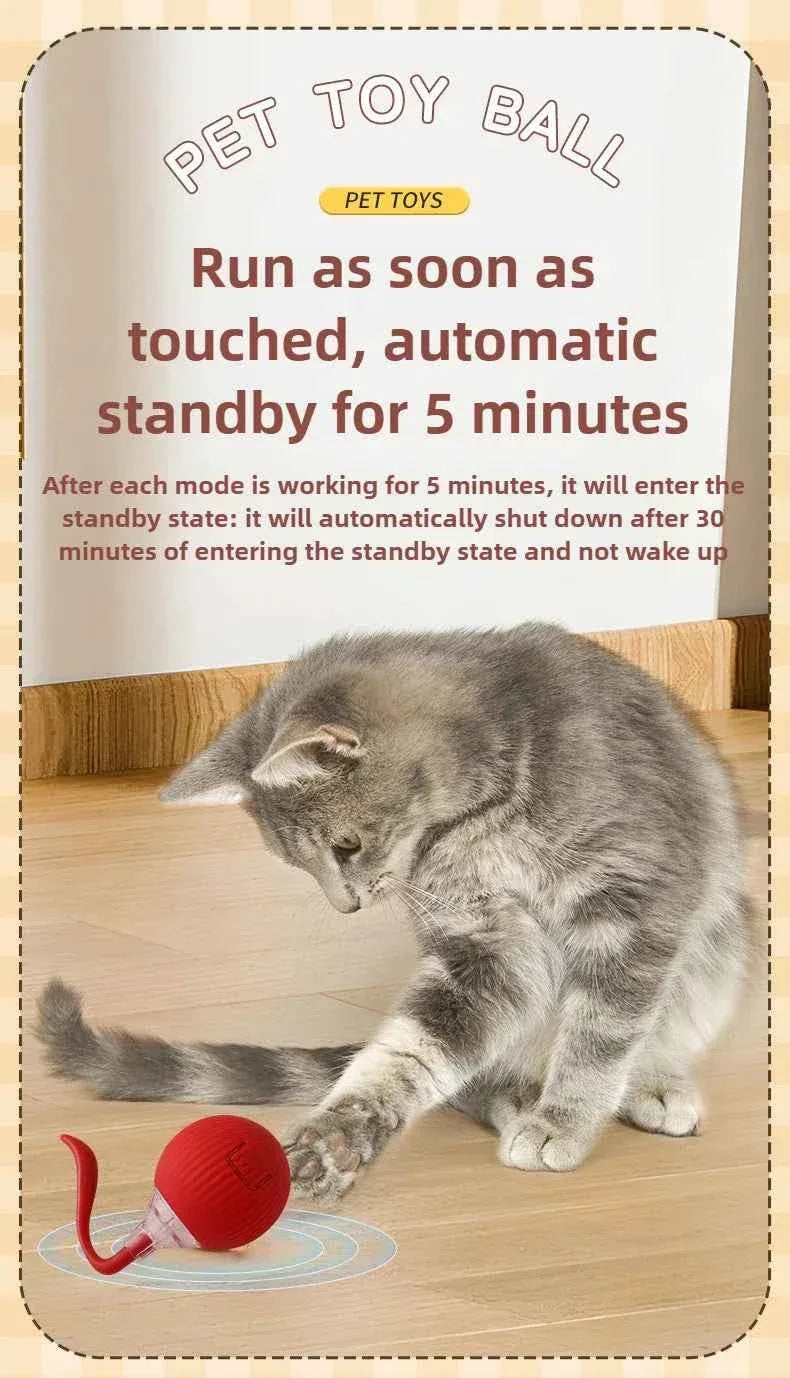 PawPal Automatic Rolling Ball Toy - Rechargeable Interactive Toy for Cats & Dogs - Happy Tails - paws & love