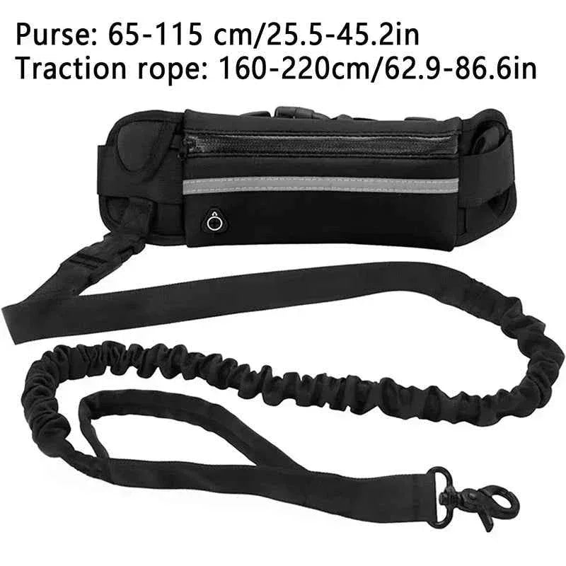 Hands Free Dog Leash for Running - Happy Tails - paws & love