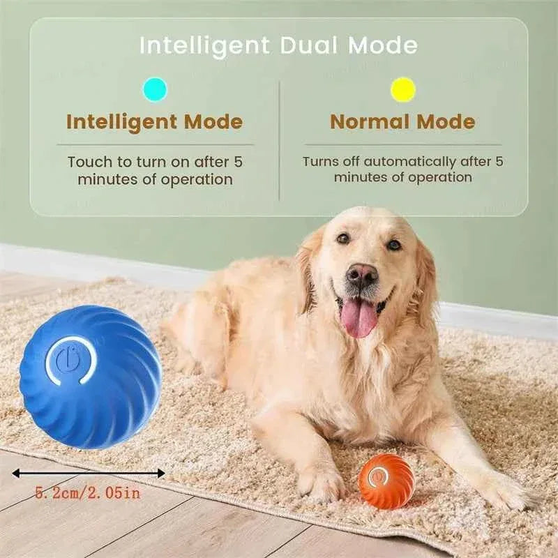Smart Paws Interactive Dog & Cat Toy Ball - Happy Tails - paws & love