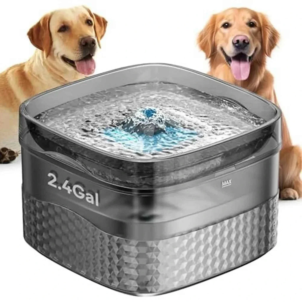 Pet Water Fountain - 2.4 Gallon Capacity - Happy Tails - paws & love