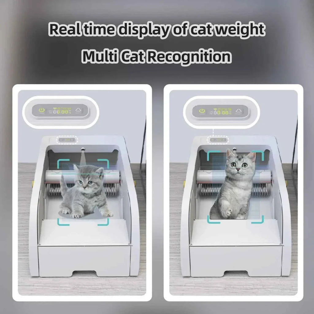 Smart Cat Litter Box with Automatic Self-Cleaning Cat Litter Box System for Hassle-Free Pet Care - Happy Tails - paws & love