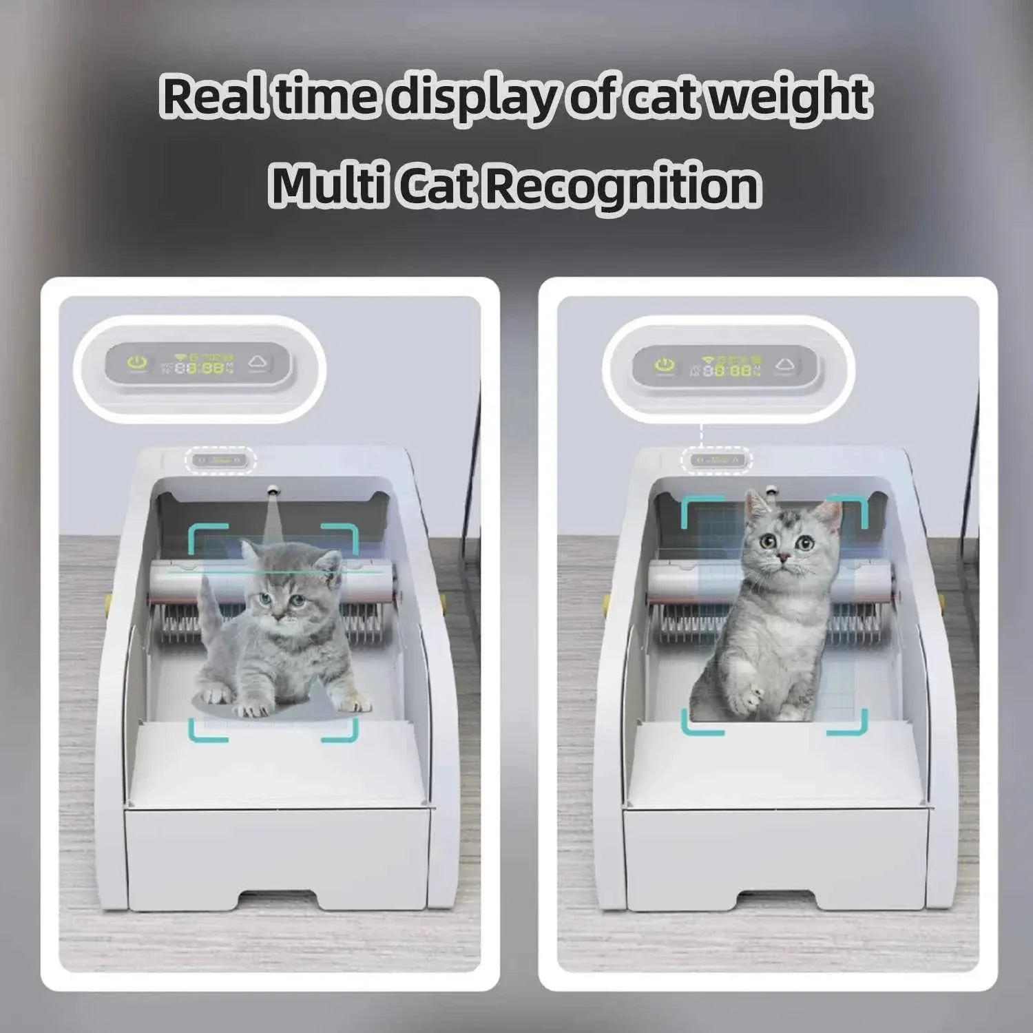 Smart Cat Litter Box with Automatic Self-Cleaning Cat Litter Box System for Hassle-Free Pet Care - Happy Tails - paws & love