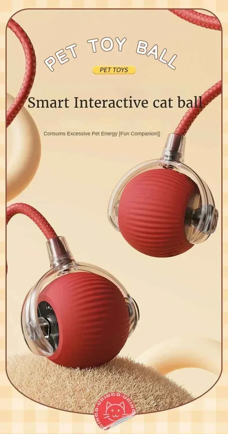 PurrfectPlay Rechargeable Cat Toy - Interactive Electric Rolling Ball with Simulated Tail for Endless Fun - Happy Tails - paws & love