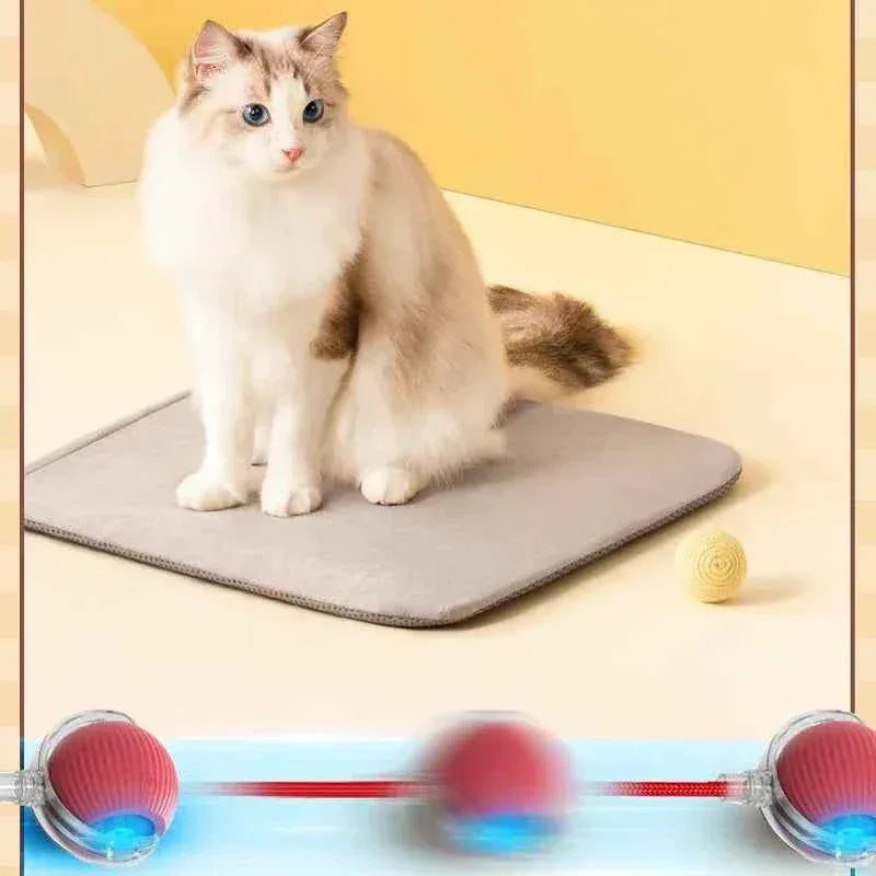 SmartPaw Interactive Dog Toy Ball - USB Rechargeable, Automatic Bouncing, Fun for Dogs & Cats - Perfect Birthday Gift! - Happy Tails - paws & love