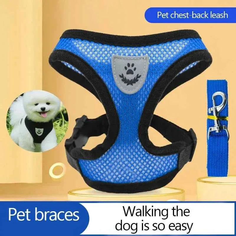 Pawsitive Vibes Cat Harness for Small Dogs - Happy Tails - paws & love