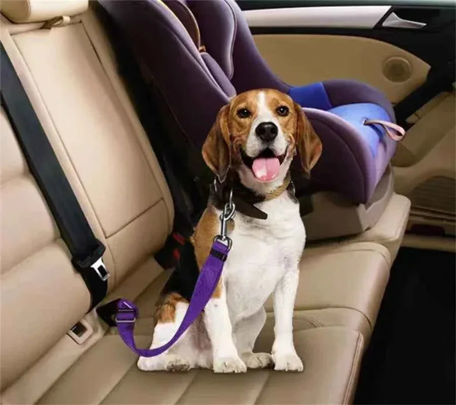 Pet Car Seat Belt Suitable for Universal Safety - Happy Tails - paws & love