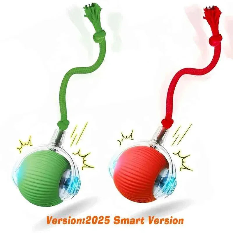 Cat Toy - Smart Rolling Ball for Active Kittens - Happy Tails - paws & love