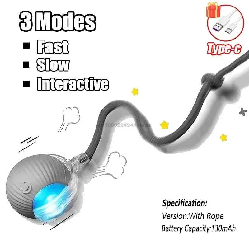 Feline Frenzy Interactive Cat Toy - Rechargeable Rolling Ball with Faux Tail for Ultimate Pet Training Fun - Happy Tails - paws & love