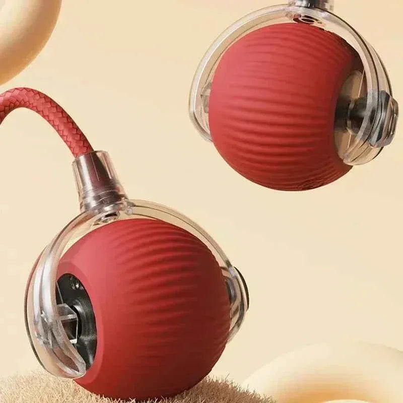 SmartPaw Interactive Dog Toy Ball - USB Rechargeable, Automatic Bouncing, Fun for Dogs & Cats - Perfect Birthday Gift! - Happy Tails - paws & love