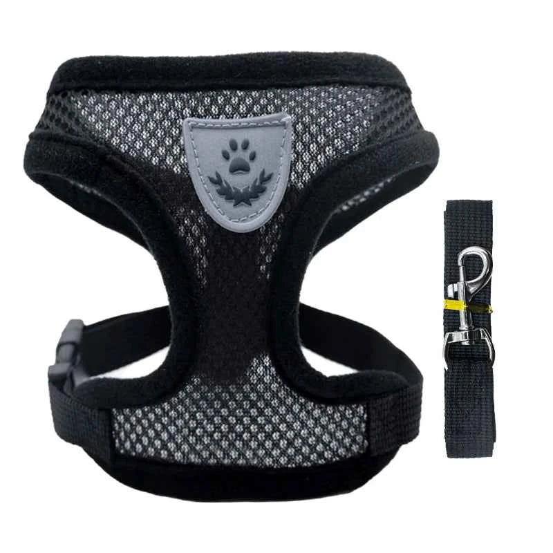 Pawsitive Vibes Cat Harness for Small Dogs - Happy Tails - paws & love