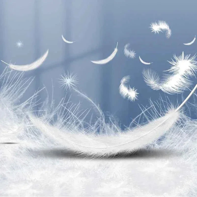 Entertainment Toy for Cats - Happy Tails - paws & love