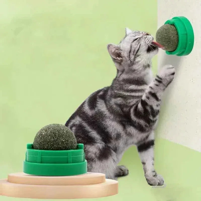 Catnip Wall Toy - Happy Tails - paws & love