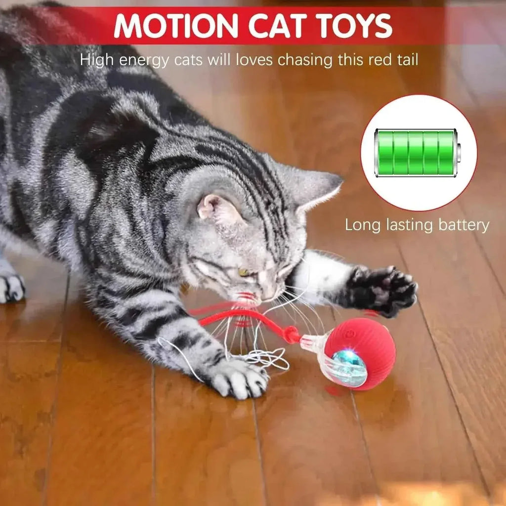 Cat Toy - Smart Rolling Ball for Active Kittens - Happy Tails - paws & love