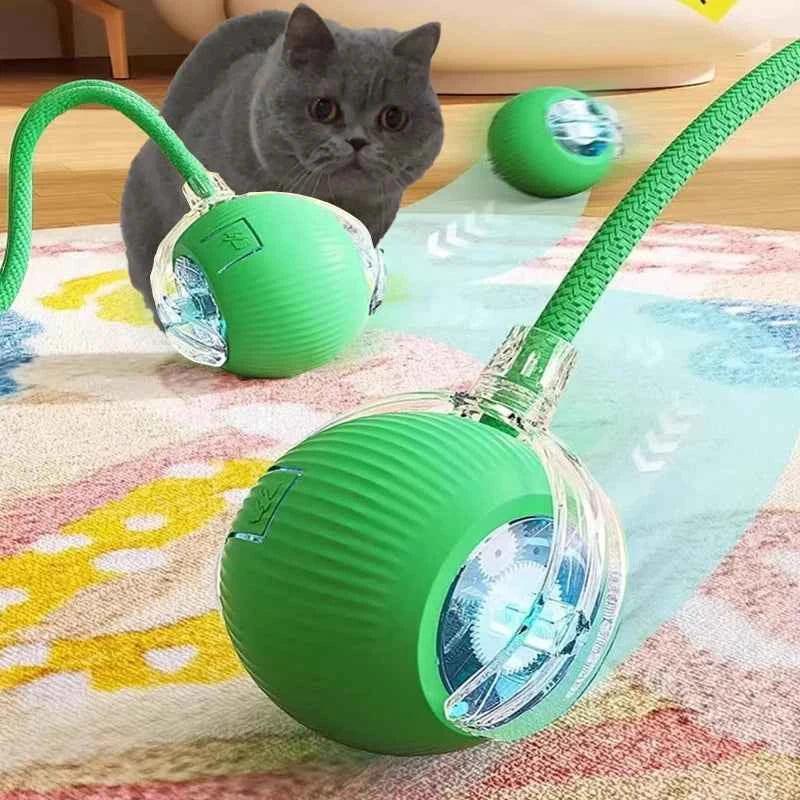 Cat Toy - Smart Rolling Ball for Active Kittens - Happy Tails - paws & love