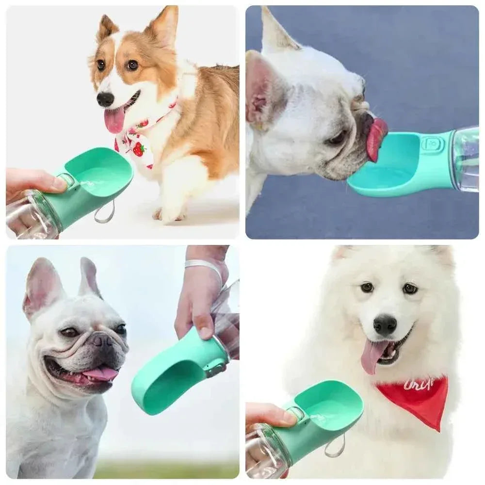 Portable Dog Water Bottle - Happy Tails - paws & love
