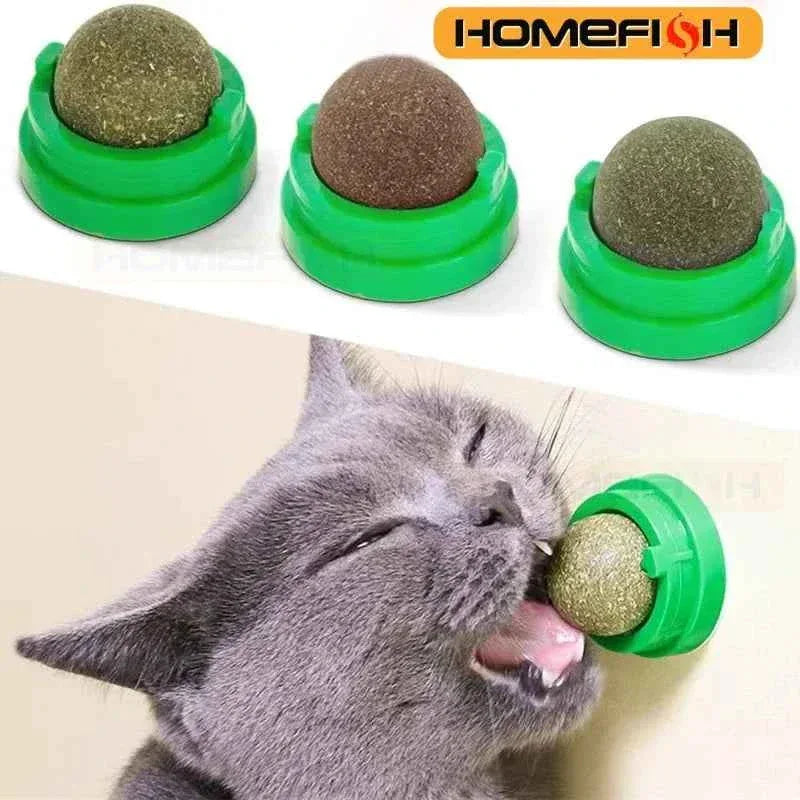 Natural Catnip Scratcher Ball - Happy Tails - paws & love