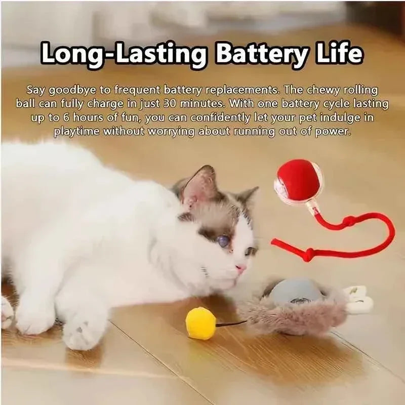 PawPal Automatic Rolling Ball Toy - Rechargeable Interactive Toy for Cats & Dogs - Happy Tails - paws & love