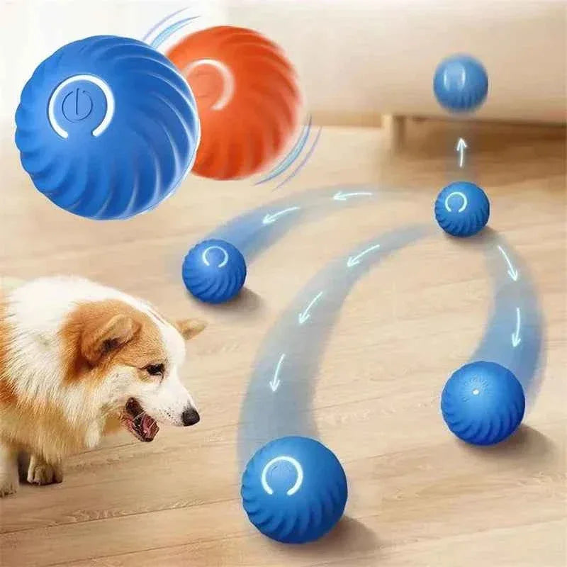 Smart Paws Interactive Dog & Cat Toy Ball - Happy Tails - paws & love