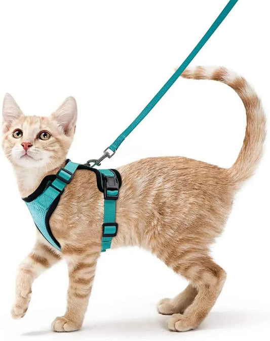 Cattitude Cat Harness & Leash - Happy Tails