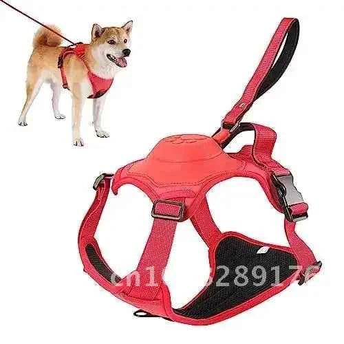 PetPal Retractable Dog Harness and Leash Set - Automatic Anti-Burst Adjustable Breathable Tangle-Free Design - Happy Tails - paws & love