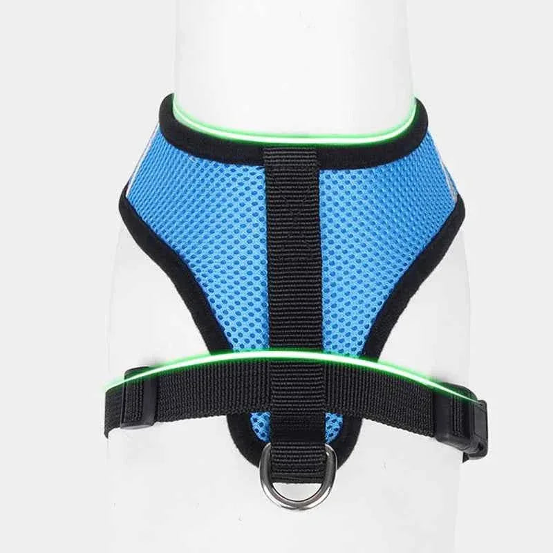 Pawsitive Vibes Cat Harness for Small Dogs - Happy Tails - paws & love