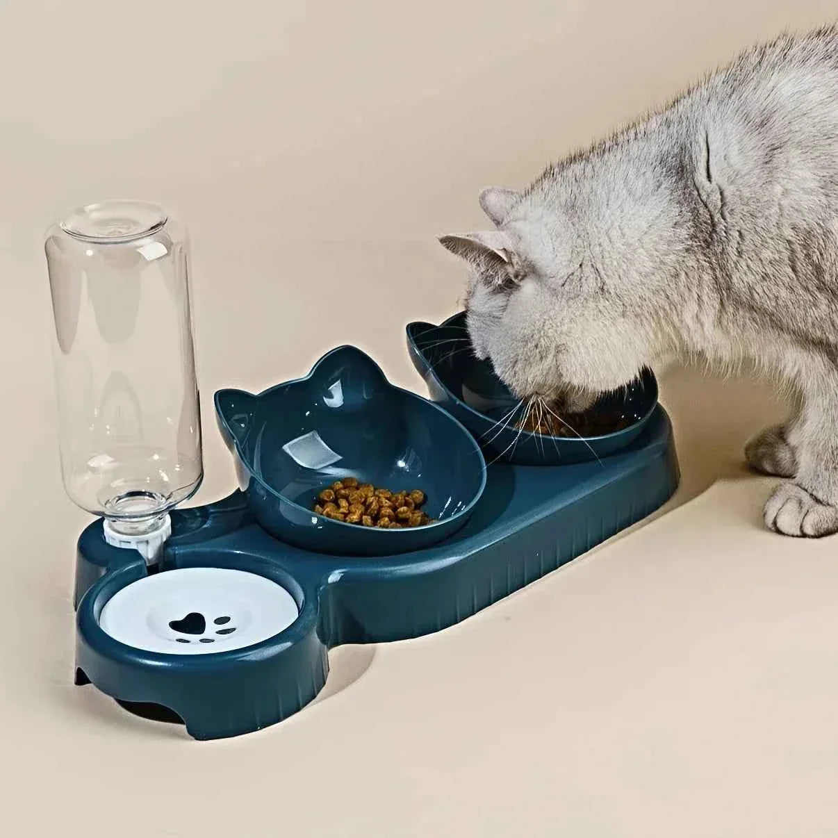 3-in-1 Tilted Cat Bowl - Happy Tails - paws & love