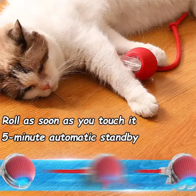 Automatic Cat Toys - Happy Tails - paws & love