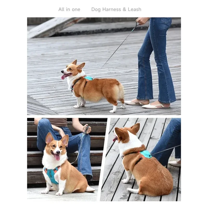 No Pull Dog Harness - Happy Tails - paws & love