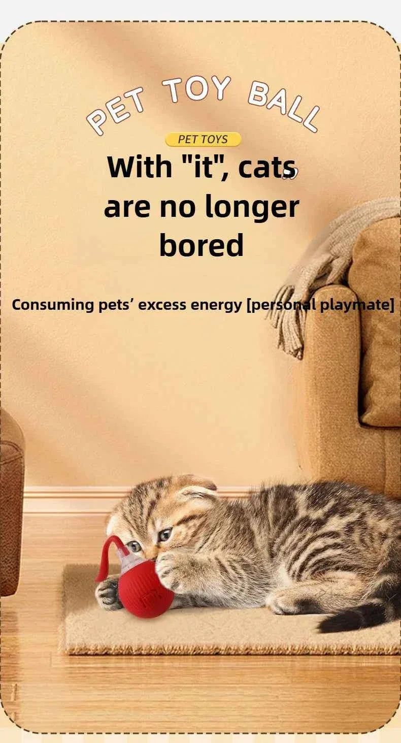 PawPal Automatic Rolling Ball Toy - Rechargeable Interactive Toy for Cats & Dogs - Happy Tails - paws & love