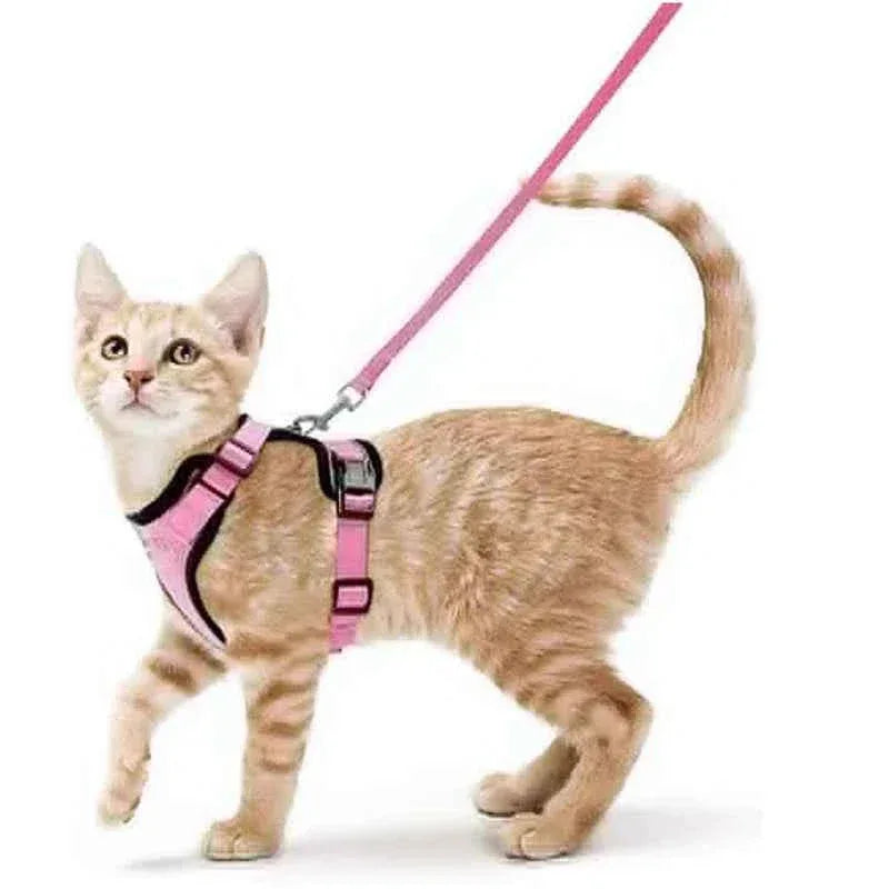 Cattitude Cat Harness & Leash - Happy Tails - paws & love