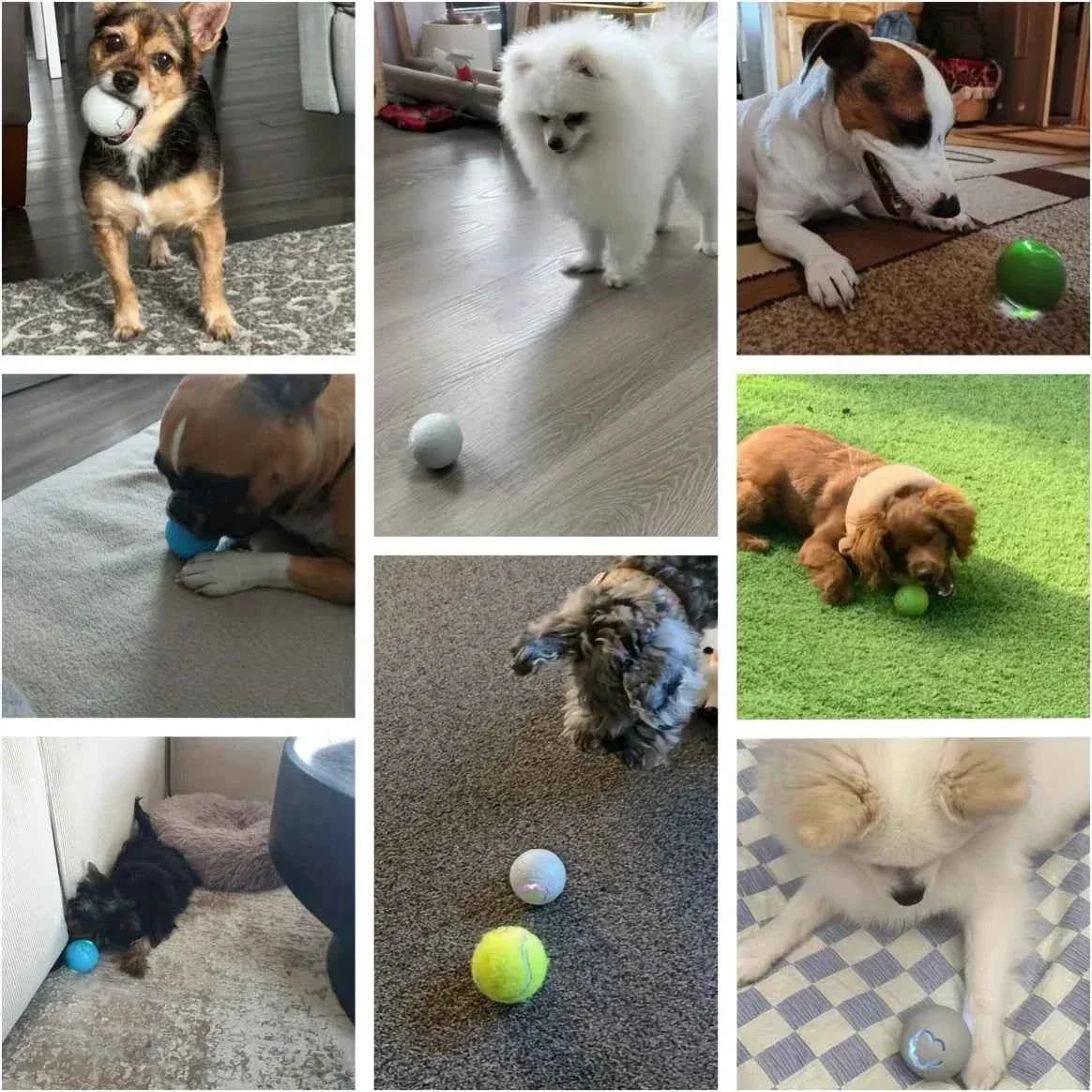 Smart Dog Toy Ball - Xiaomi Smart Dog Toy Ball USB Rechargeable Interactive Bouncing Ball with RGB Lights for Endless Fun - Happy Tails - paws & love