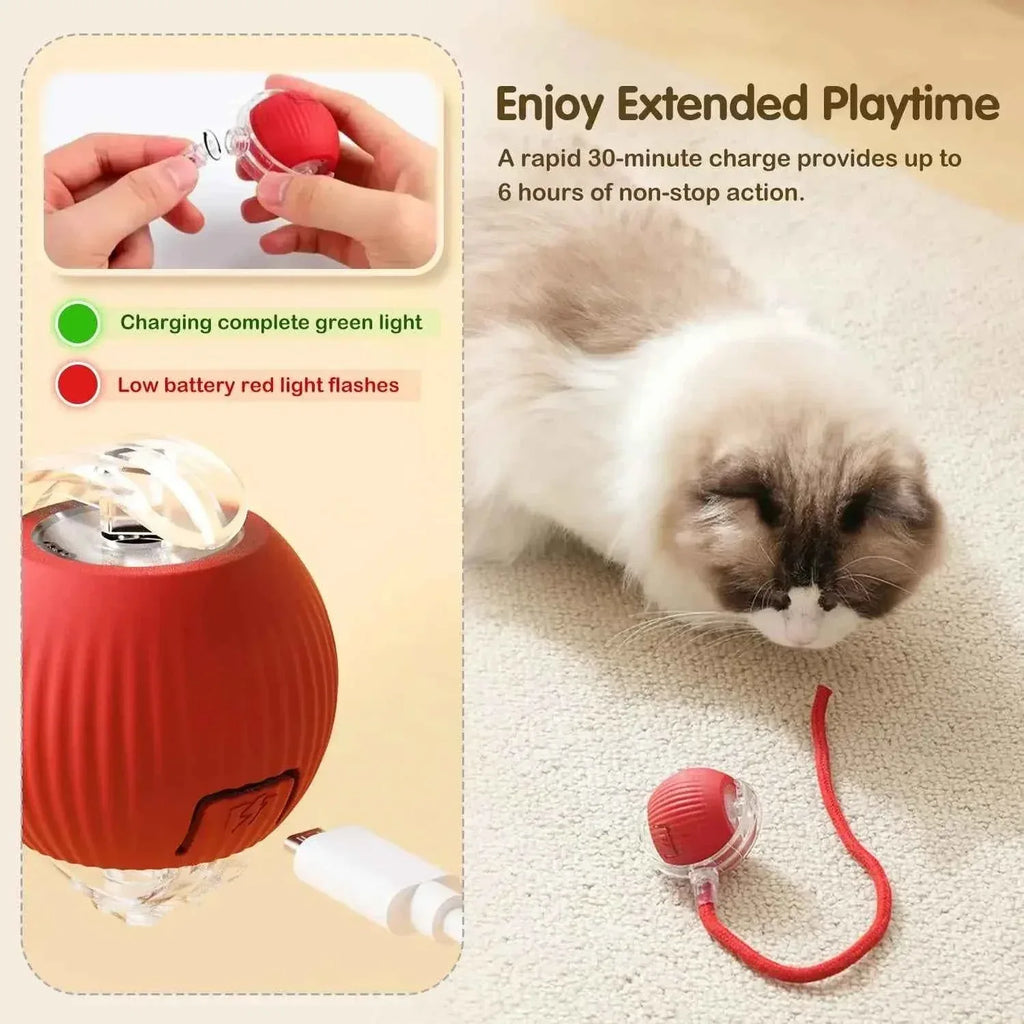 Cat Toy - Smart Rolling Ball for Active Kittens - Happy Tails - paws & love
