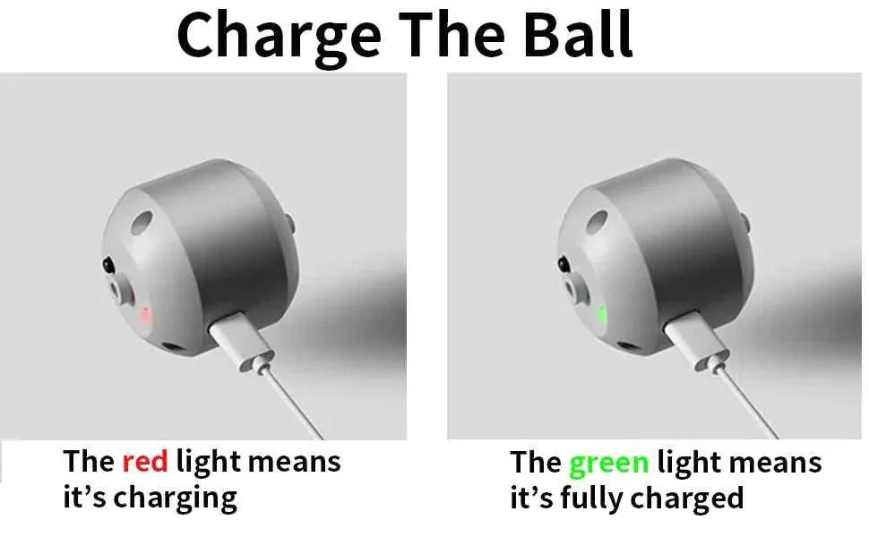 Electric Dog Interactive Ball - Happy Tails - paws & love