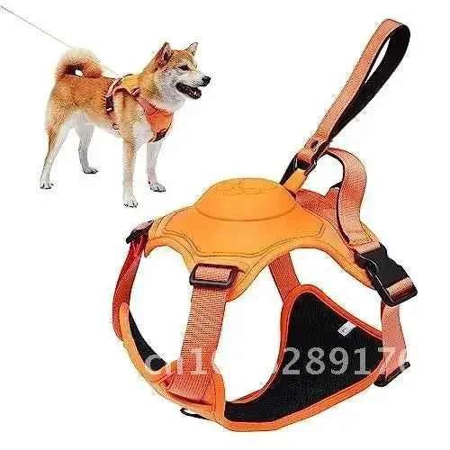 PetPal Retractable Dog Harness and Leash Set - Automatic Anti-Burst Adjustable Breathable Tangle-Free Design - Happy Tails - paws & love