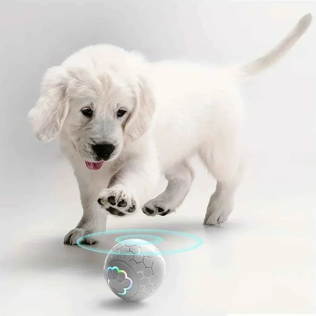 Smart Dog Toy Ball - Xiaomi Smart Dog Toy Ball USB Rechargeable Interactive Bouncing Ball with RGB Lights for Endless Fun - Happy Tails - paws & love