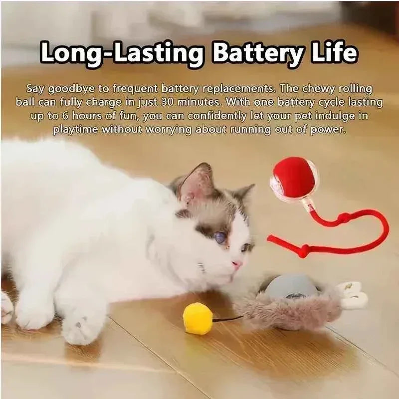 PurrfectPlay Rechargeable Cat Toy - Interactive Electric Rolling Ball with Simulated Tail for Endless Fun - Happy Tails - paws & love