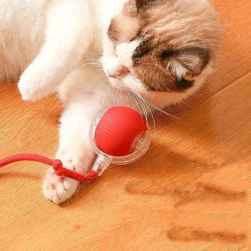 SmartPaw Interactive Dog Toy Ball - USB Rechargeable, Automatic Bouncing, Fun for Dogs & Cats - Perfect Birthday Gift! - Happy Tails - paws & love