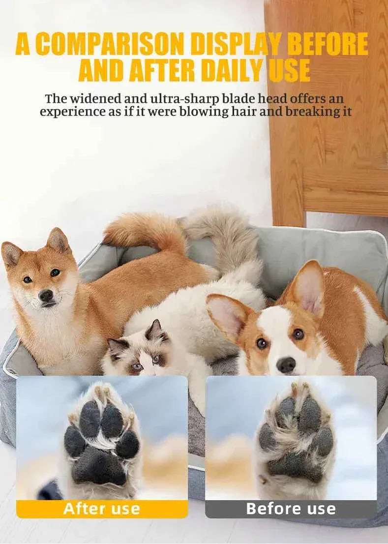 Grooming of Cats and Dogs - Premium Pet Grooming Services - Happy Tails - paws & love