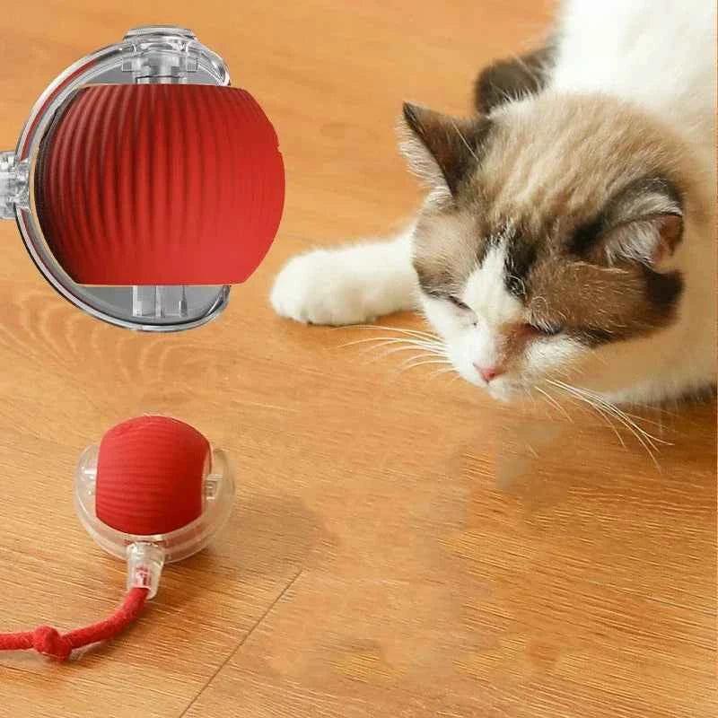 SmartPaw Interactive Dog Toy Ball - USB Rechargeable, Automatic Bouncing, Fun for Dogs & Cats - Perfect Birthday Gift! - Happy Tails - paws & love