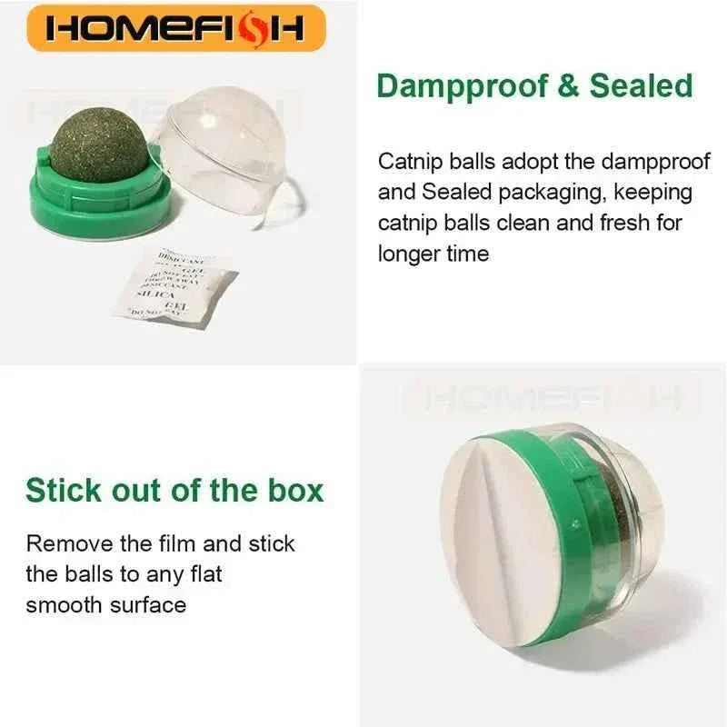 Natural Catnip Scratcher Ball - Happy Tails - paws & love